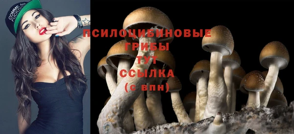 стафф Армянск