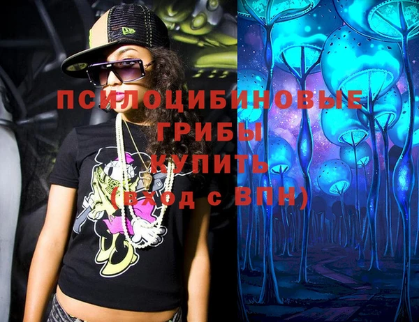 стаф Алексин