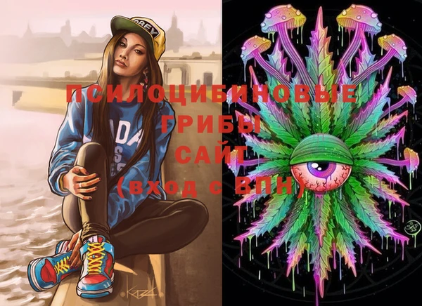 MESCALINE Аркадак