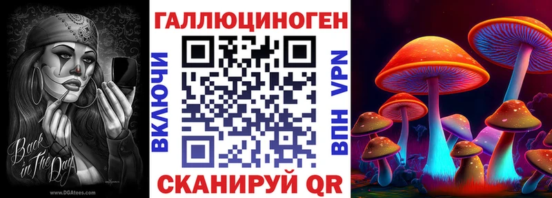 Галлюциногенные грибы Psilocybe купить закладку Бологое